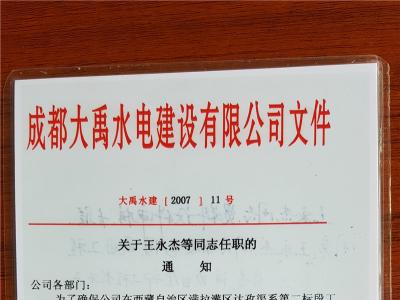 王永杰的水利工程技术总工任职文件